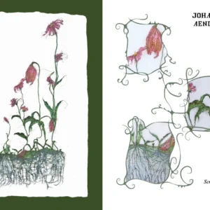Issue 01: Pathways (PDF) - Image 3