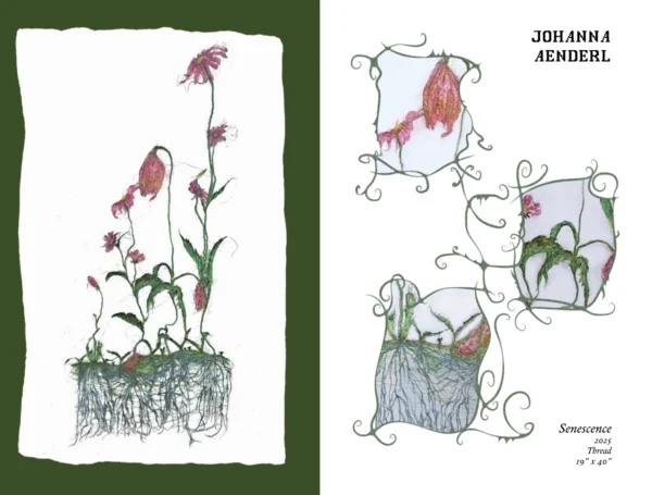 Issue 01: Pathways (PDF)